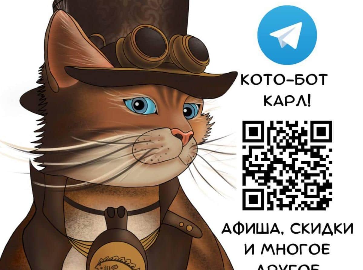 Кото-бот Карл знает всё о городе